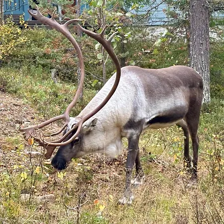 Vanhamylly As 4 Apartamento