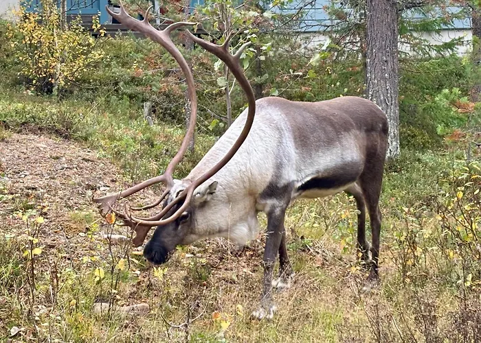 Vanhamylly As 4 Apartamento